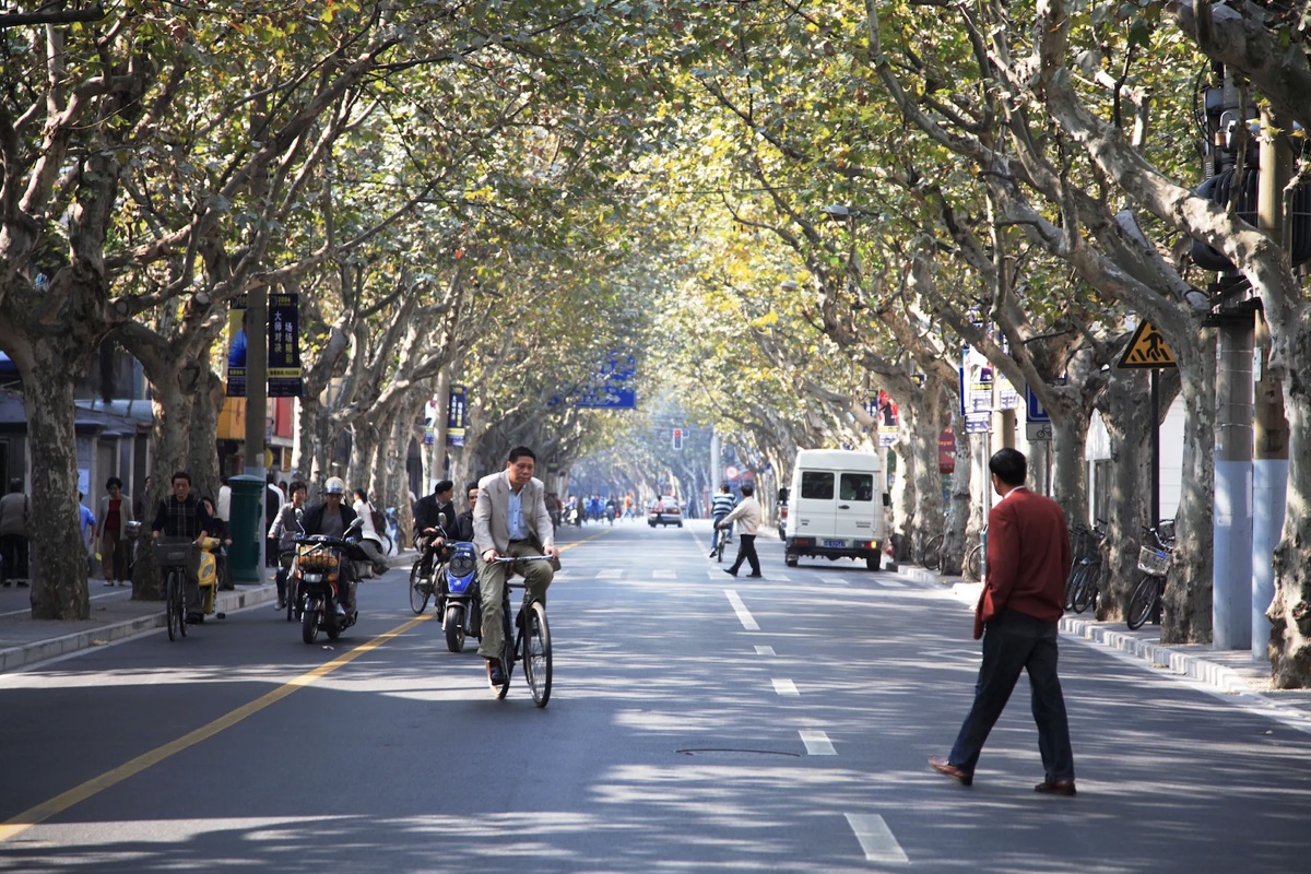 Historic Shanghai French Concession area where English teachers live and work